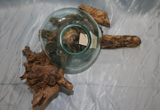 AKVARIUM NA SAMOROSTU
